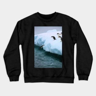 Gentoo penguins going for fishing Crewneck Sweatshirt